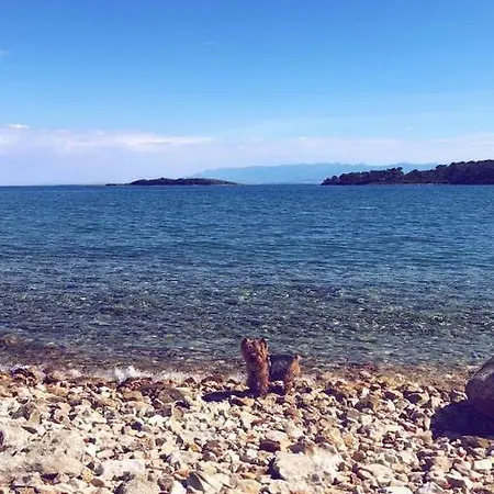 Ankica Molat