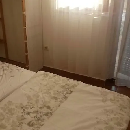 Ankica * Молат